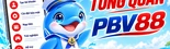 TỔNG QUAN PBV88