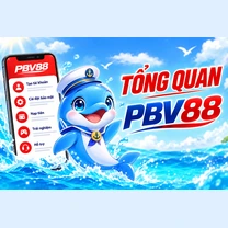 TỔNG QUAN PBV88